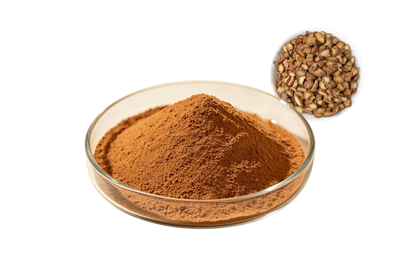 Salvia Miltiorrhiza Extract